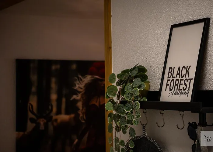 Апартаменты Schwarzwald Stuebli *