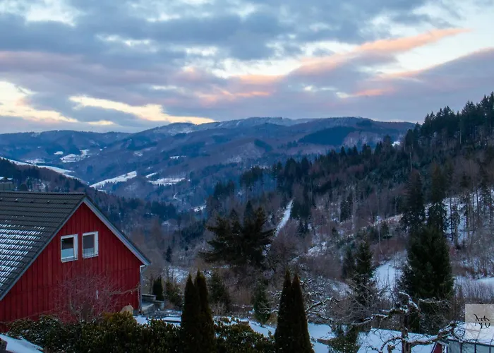 Schwarzwald Stuebli Apartment Kleines Wiesental