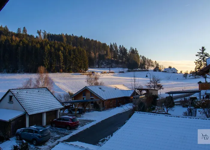 Апартаменты Schwarzwald Stuebli